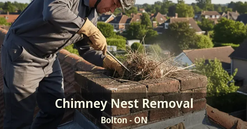 Chimney Nest Removal Bolton - ON