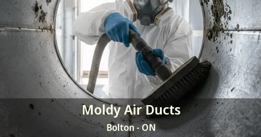 Moldy Air Ducts Bolton - ON